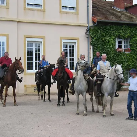 Guest house Domaine Du Chateau De Marchangy *