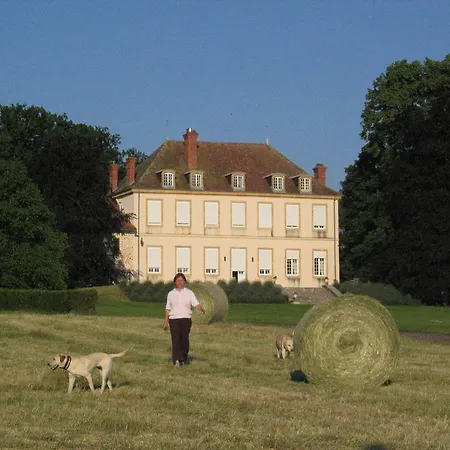 Domaine Du Chateau De Marchangy Saint-Pierre-la-Noaille